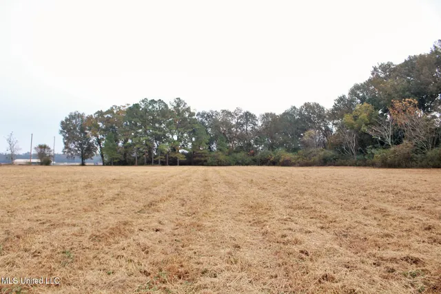 $139,000 | 4141 Old 63 North, Lucedale, MS 39452