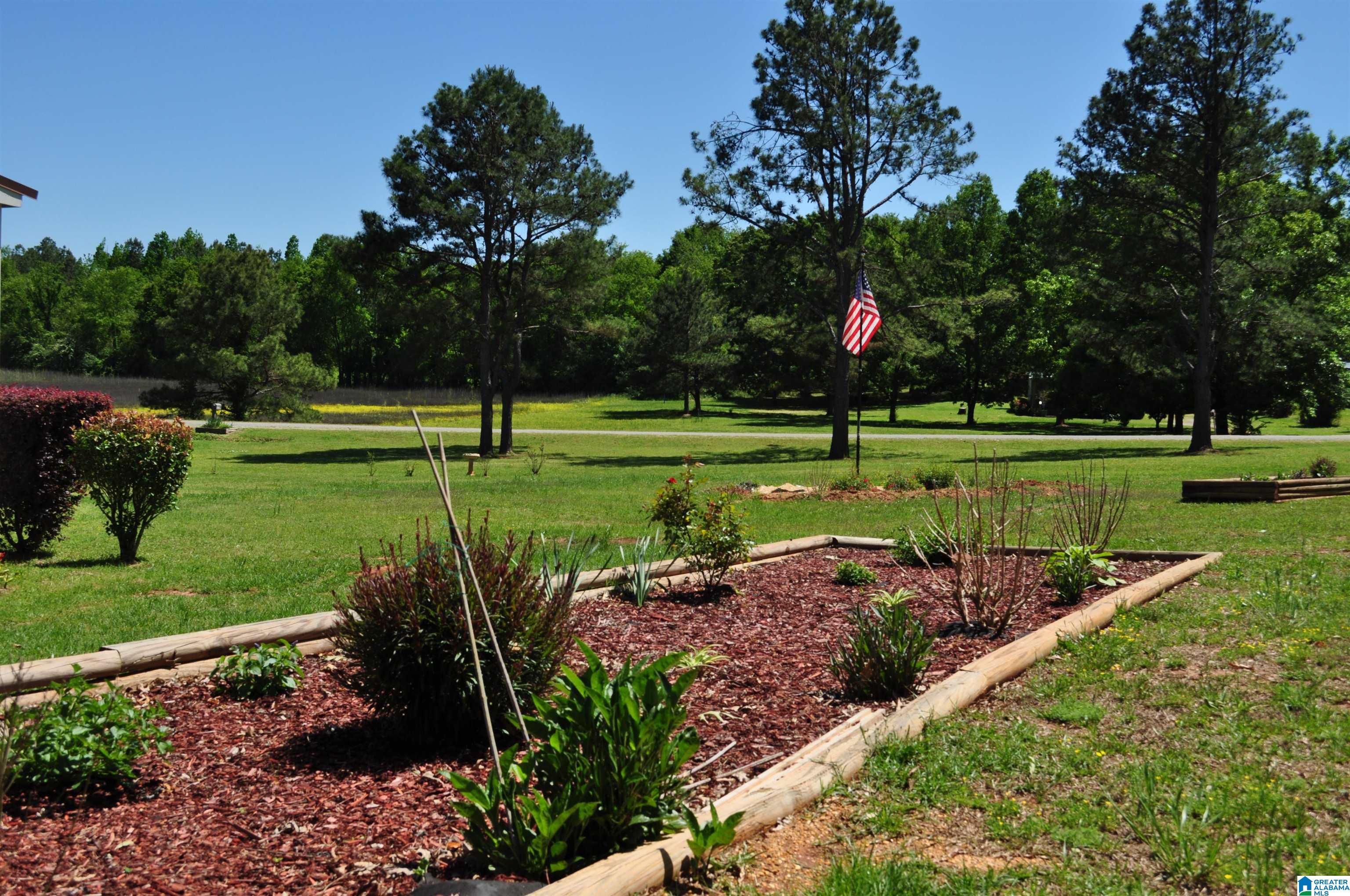 150 County Road 522 Selma, AL 36701 - Photo 4 of 30
