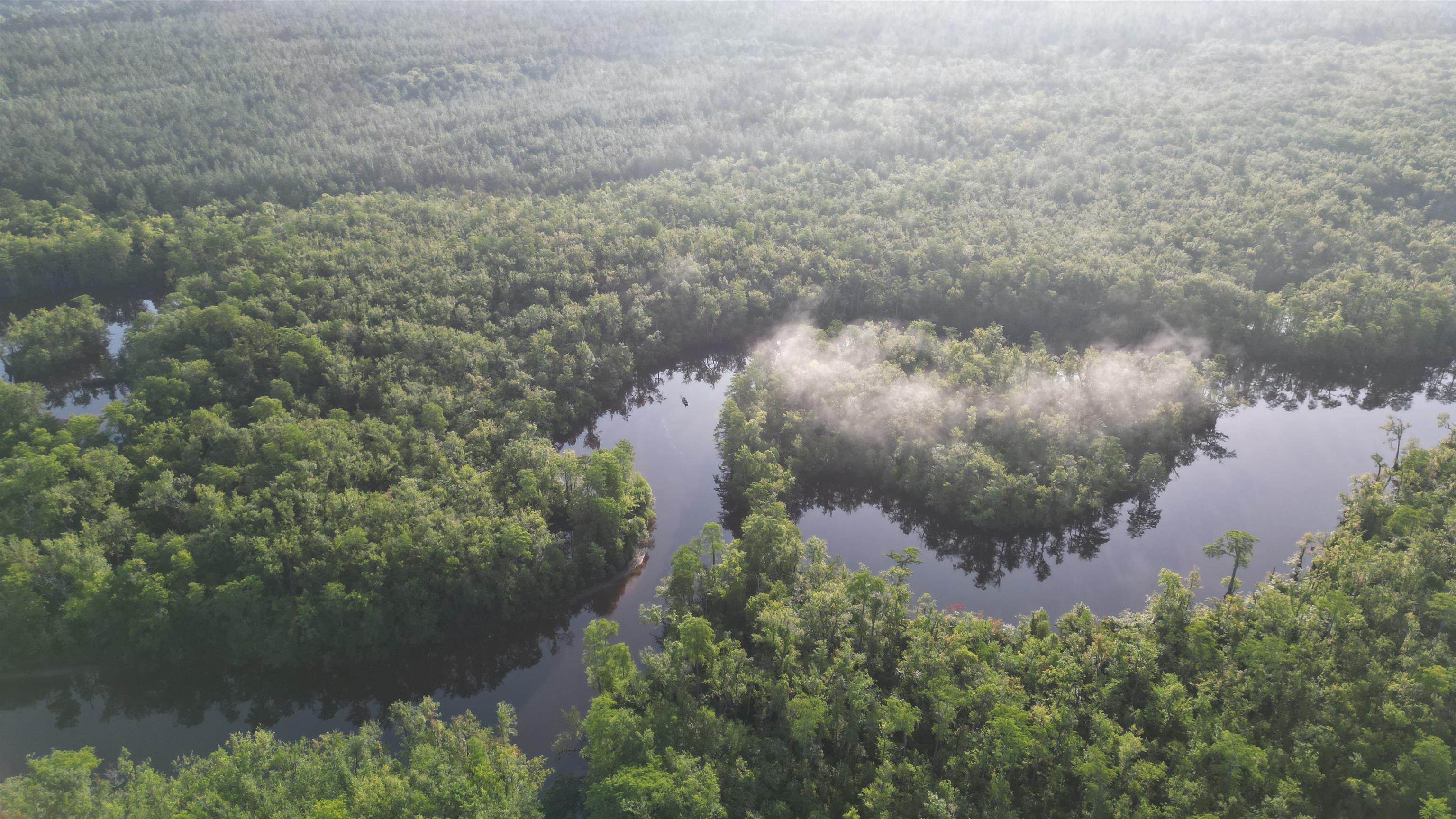 1050 Cedar Creek Landing Road Mount Vernon, AL 36560 - Photo 56 of 59 Aerial View