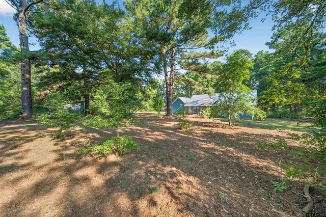 a view of a yard with a tree