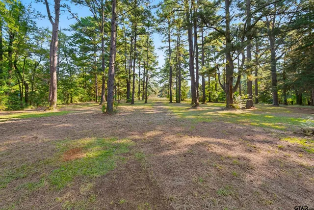 a view of outdoor space with trees