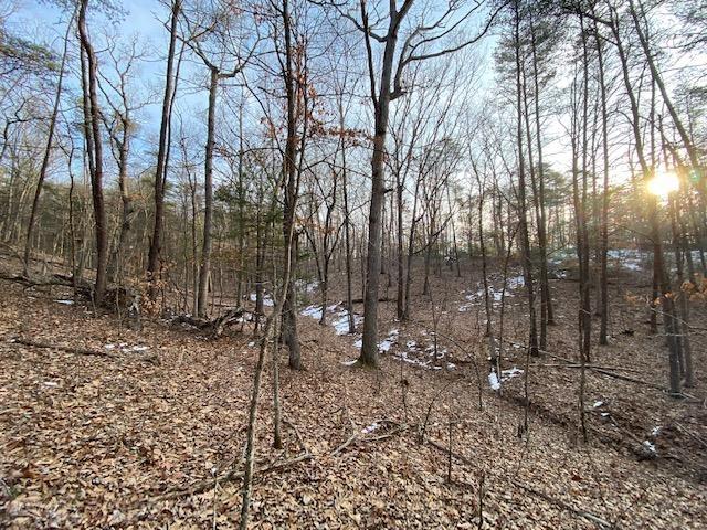 Tbd Flatwoods Road Elliston, VA 24087 - Photo 10 of 13 Gallery Image 10