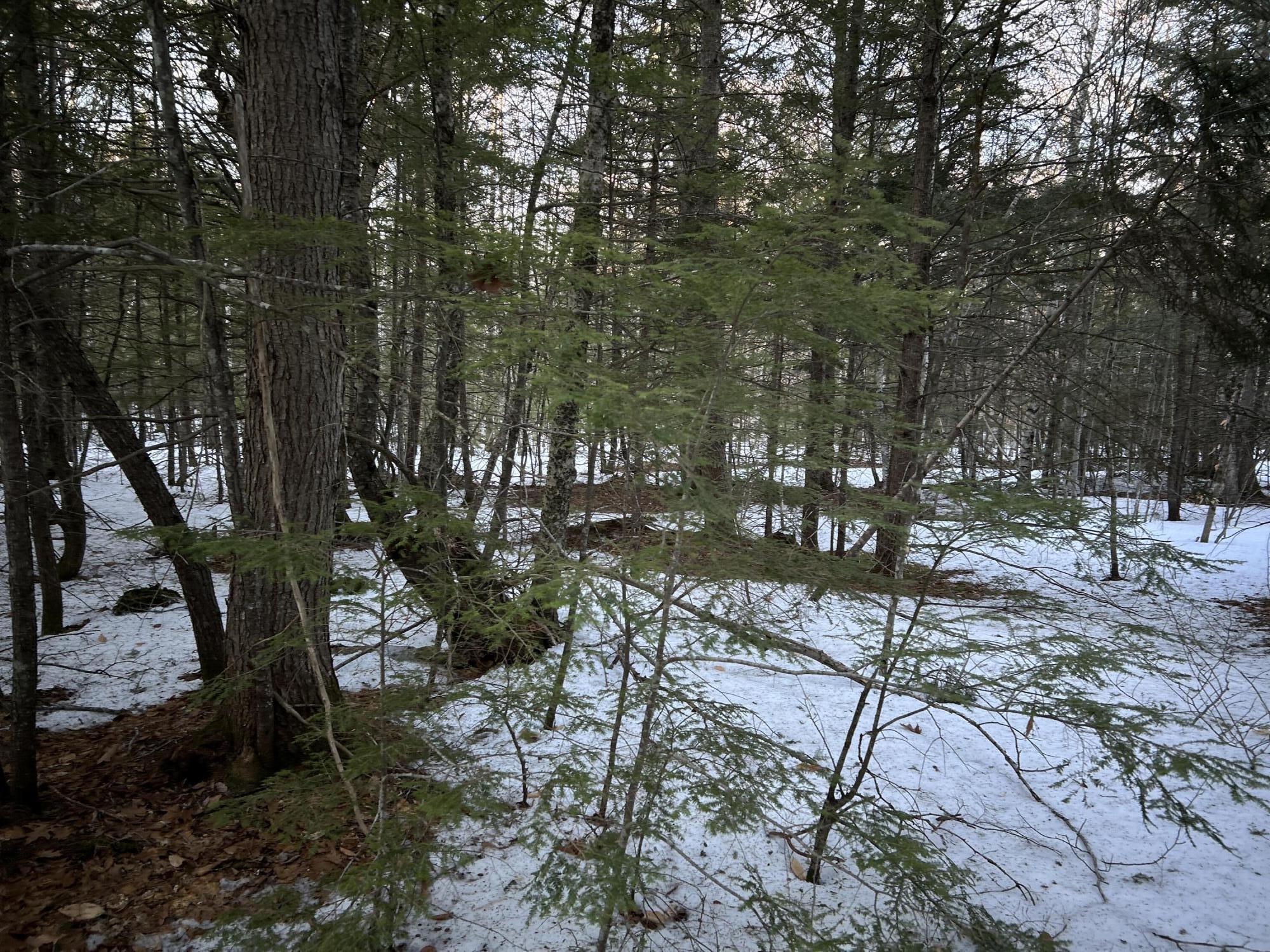 Map13-lot11 Field View Road Fryeburg, ME 04037 - Photo 34 of 37