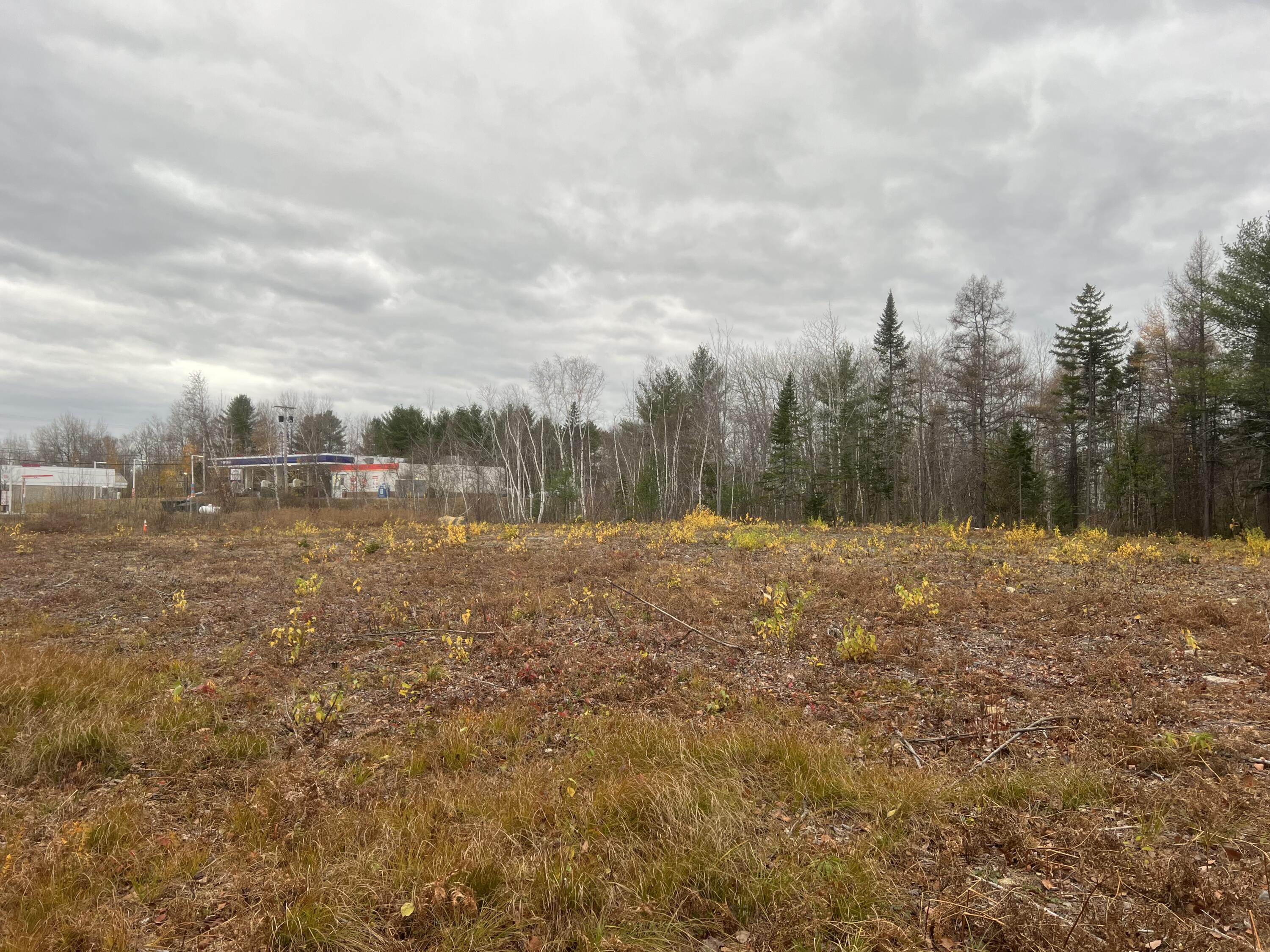 Lot # Fern Street Millinocket, ME 04462 - Photo 9 of 9 IMG_1728