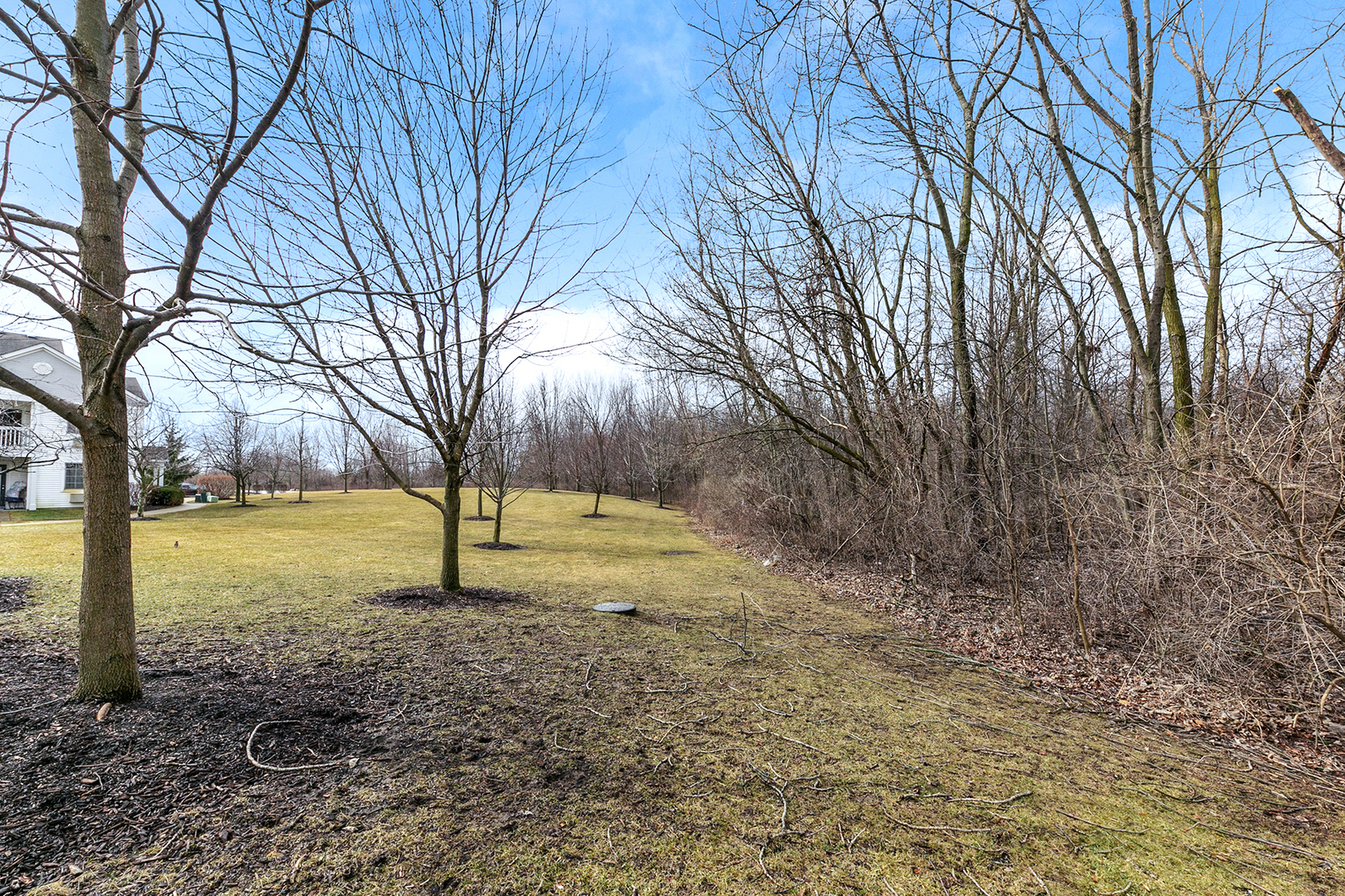 1488 McClure Road, Unit 1488 Aurora, IL 60505 - Photo 19 of 19 a view of a yard with a tree