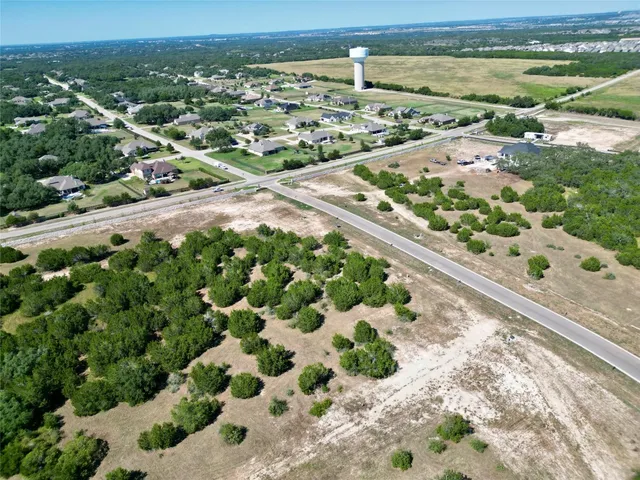 a view of a garden with plants