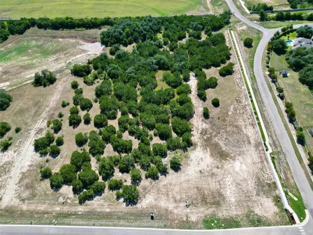 a view of a yard with of plants