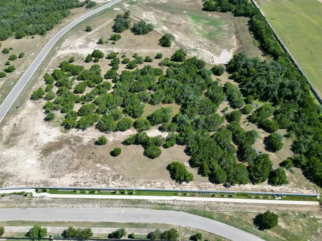 a view of a garden with a plant