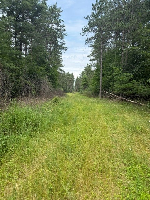 0 West Road Black River Falls, WI 54615 - Photo 3 of 43