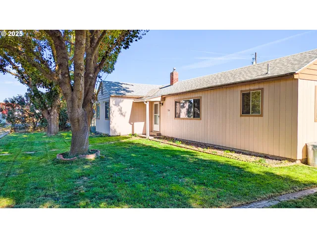 a black and white photo of a backyard