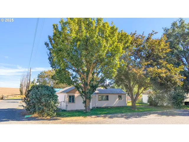 a outdoor space with a tree