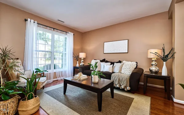 a living room with furniture and a potted plant