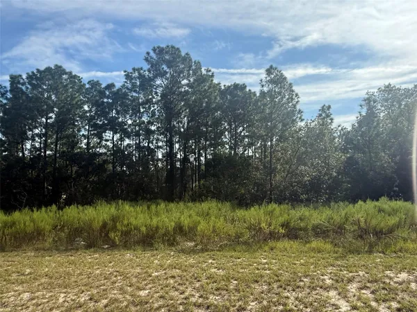 a view of a lake with a yard