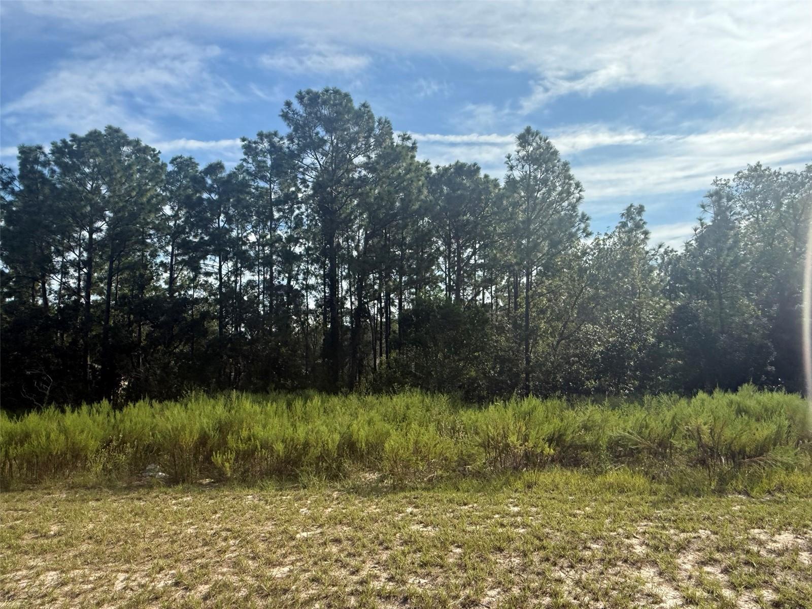 Tbd Tbd 135th St Road Ocala, FL 34473 - Photo 1 of 4 a view of a lake with a yard