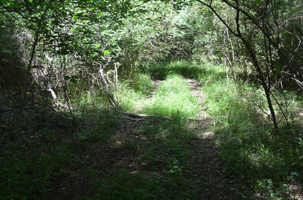 Gallery Image 7