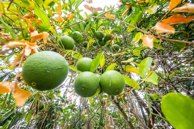 $1,649,000 | 817 Cheyenne Drive, Walnut Creek, CA 94598