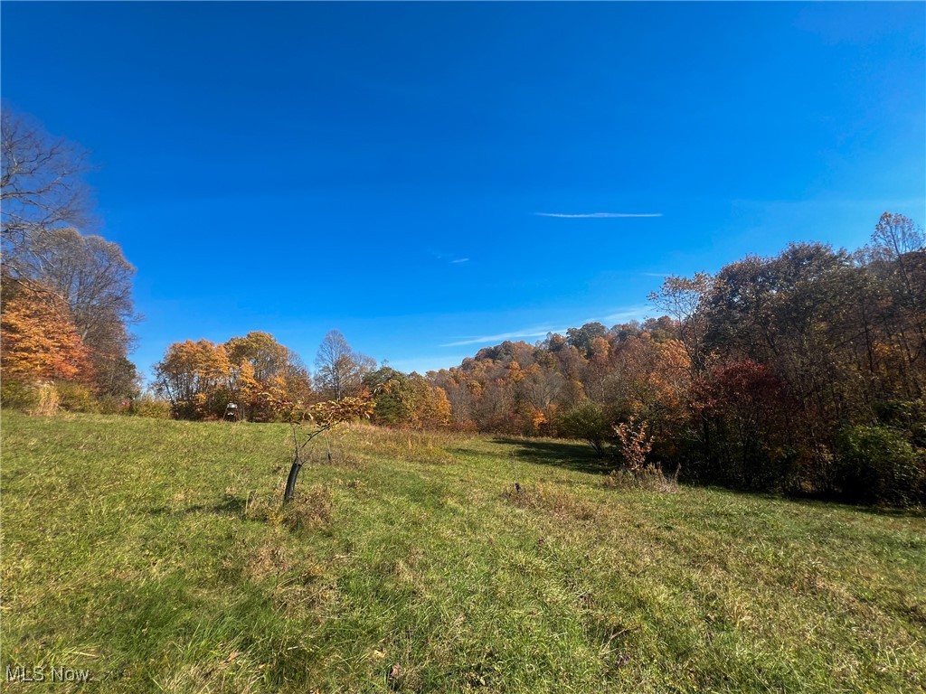 0 Roberts Road Amesville, OH 45711 - Photo 1 of 39 View of yard