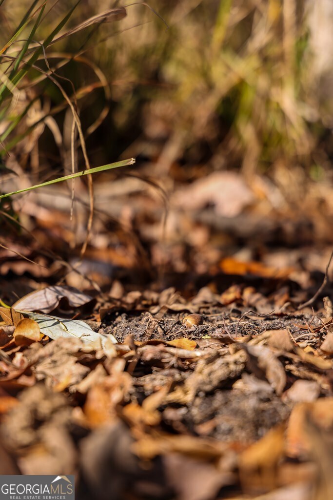 0 Scotland Road Dublin, GA 31021 - Photo 12 of 13 a view of a yard
