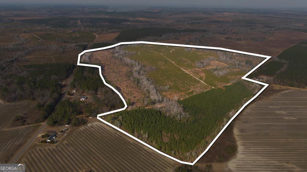 0 Scotland Road Dublin, GA 31021 - Photo 2 of 13