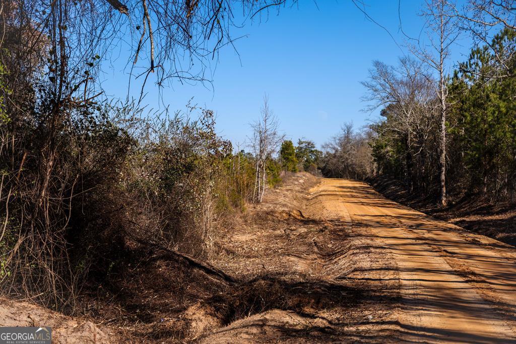 0 Scotland Road Dublin, GA 31021 - Photo 3 of 13 a view of swimming pool with an outdoor space