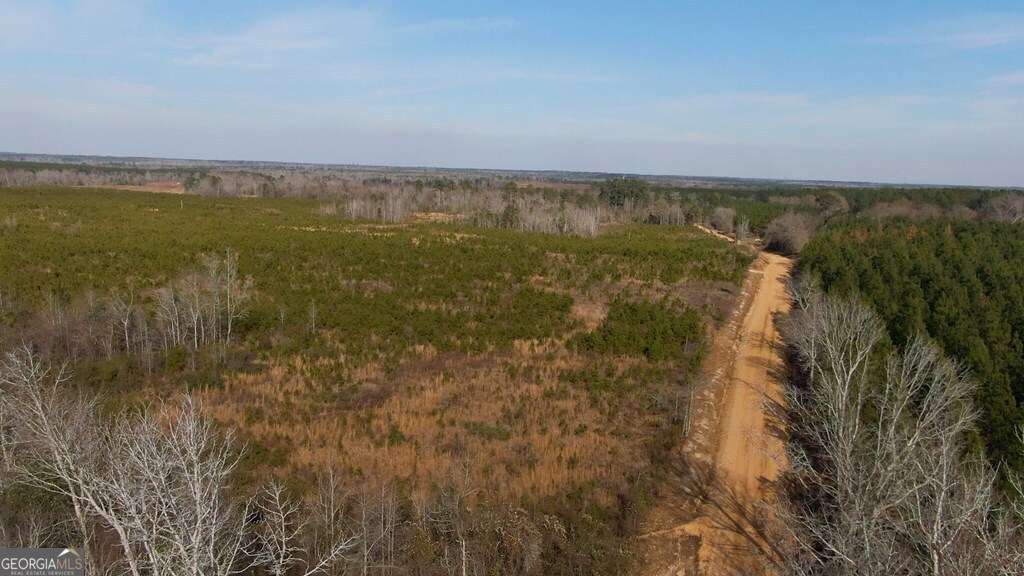 0 Scotland Road Dublin, GA 31021 - Photo 7 of 13 a view of a lake with a city