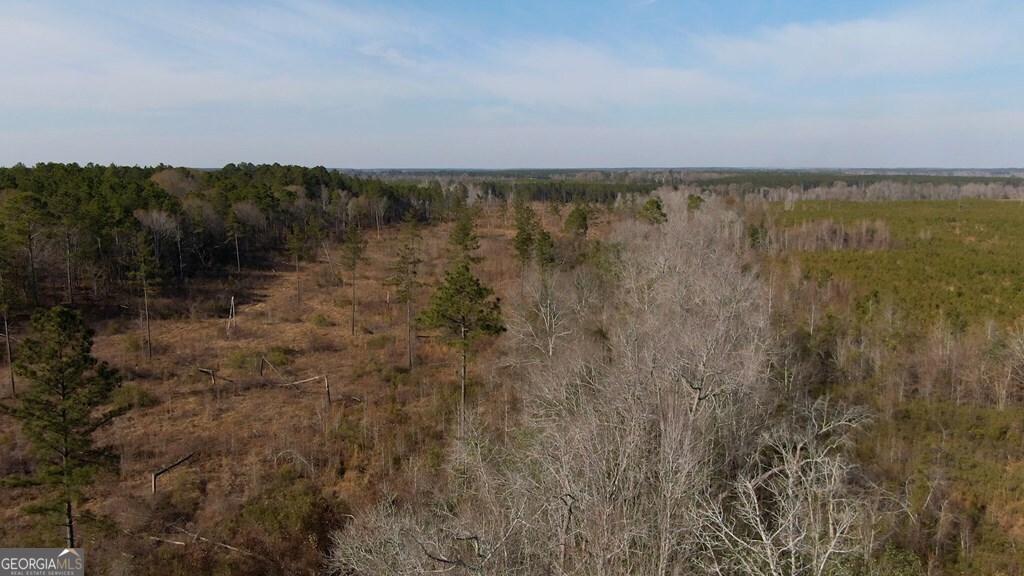 0 Scotland Road Dublin, GA 31021 - Photo 9 of 13
