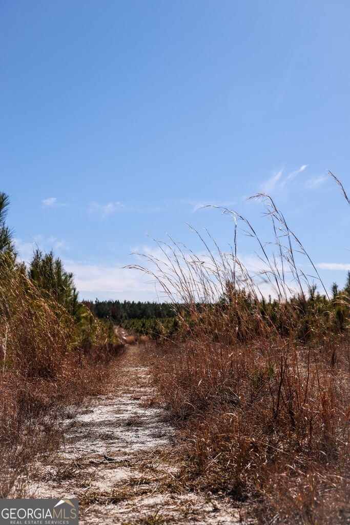 0 Scotland Road Dublin, GA 31021 - Photo 10 of 13 a view of a lake and mountain