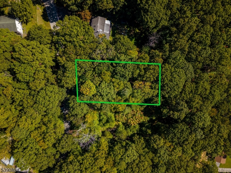 6 Ridge Road Northwest Vernon, NJ 07461 - Photo 11 of 18 a view of a forest with a tree