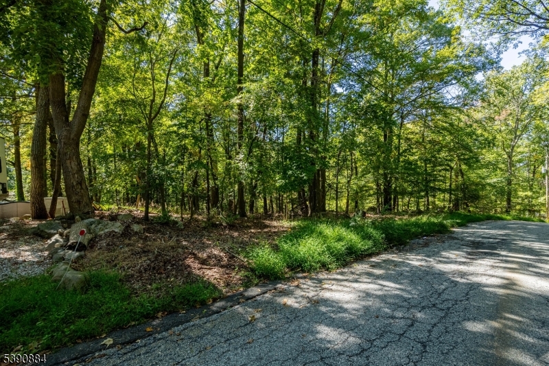 6 Ridge Road Northwest Vernon, NJ 07461 - Photo 12 of 18 a big yard with lots of green space and trees