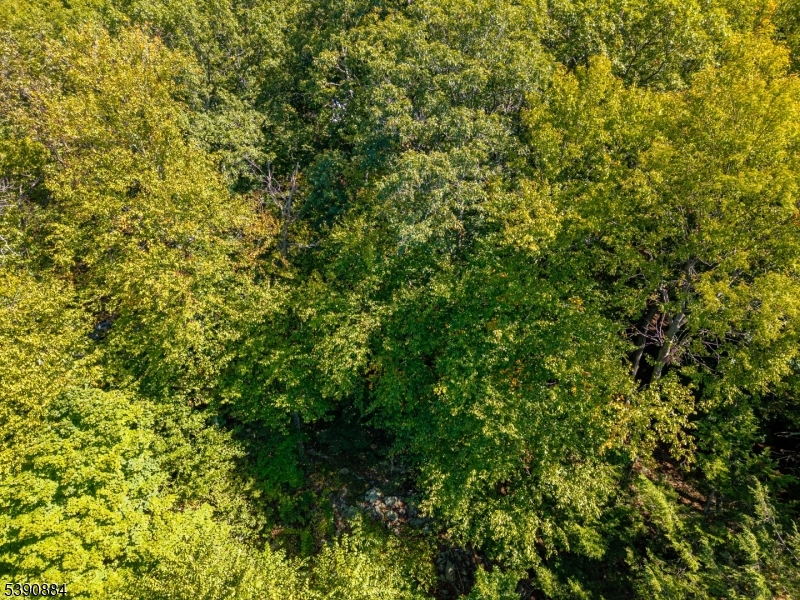 6 Ridge Road Northwest Vernon, NJ 07461 - Photo 13 of 18 a view of a lush green field