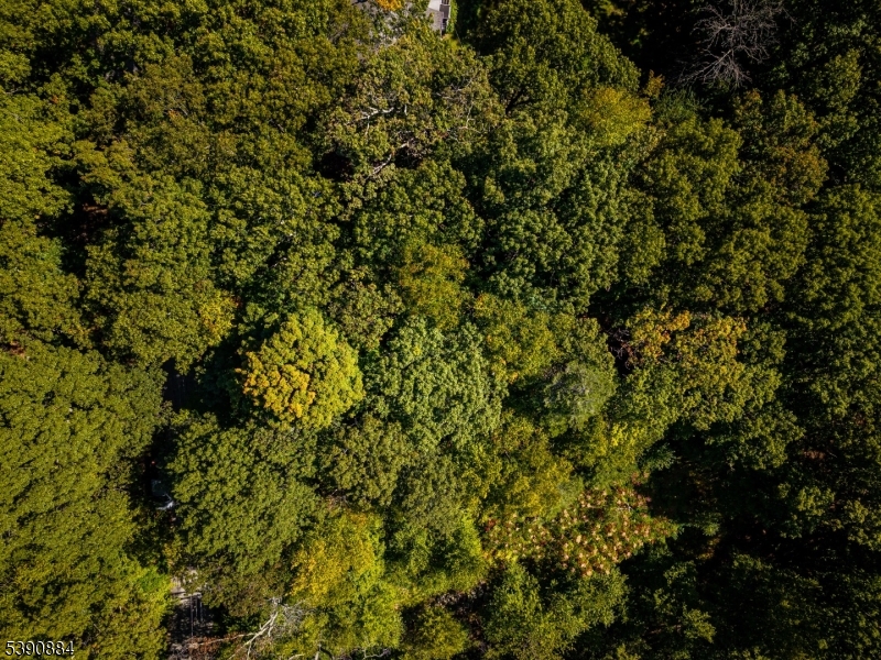 6 Ridge Road Northwest Vernon, NJ 07461 - Photo 16 of 18 a view of a tree