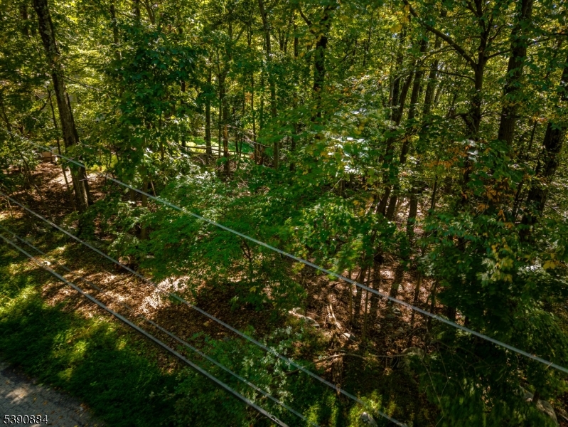 6 Ridge Road Northwest Vernon, NJ 07461 - Photo 2 of 18 a view of a tree
