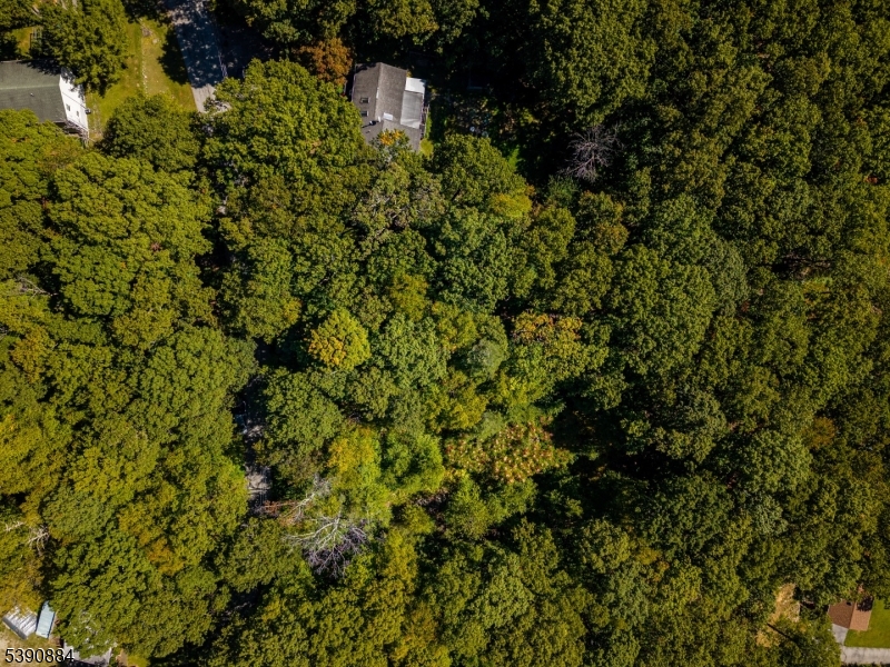 6 Ridge Road Northwest Vernon, NJ 07461 - Photo 3 of 18 a view of a house with a tree