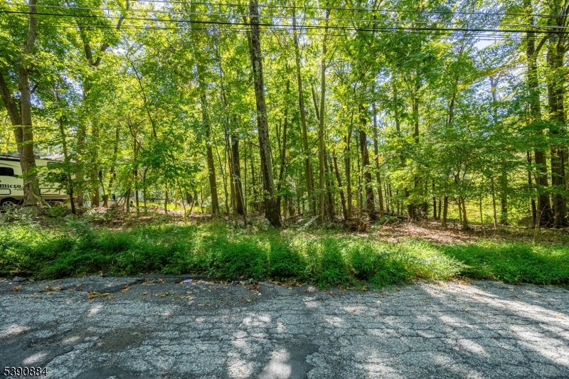 6 Ridge Road Northwest Vernon, NJ 07461 - Photo 5 of 18 a view of a garden with plants