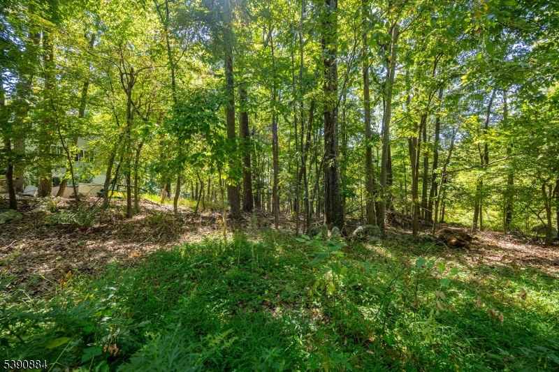 6 Ridge Road Northwest Vernon, NJ 07461 - Photo 8 of 18 a backyard of a house with lots of green space and trees