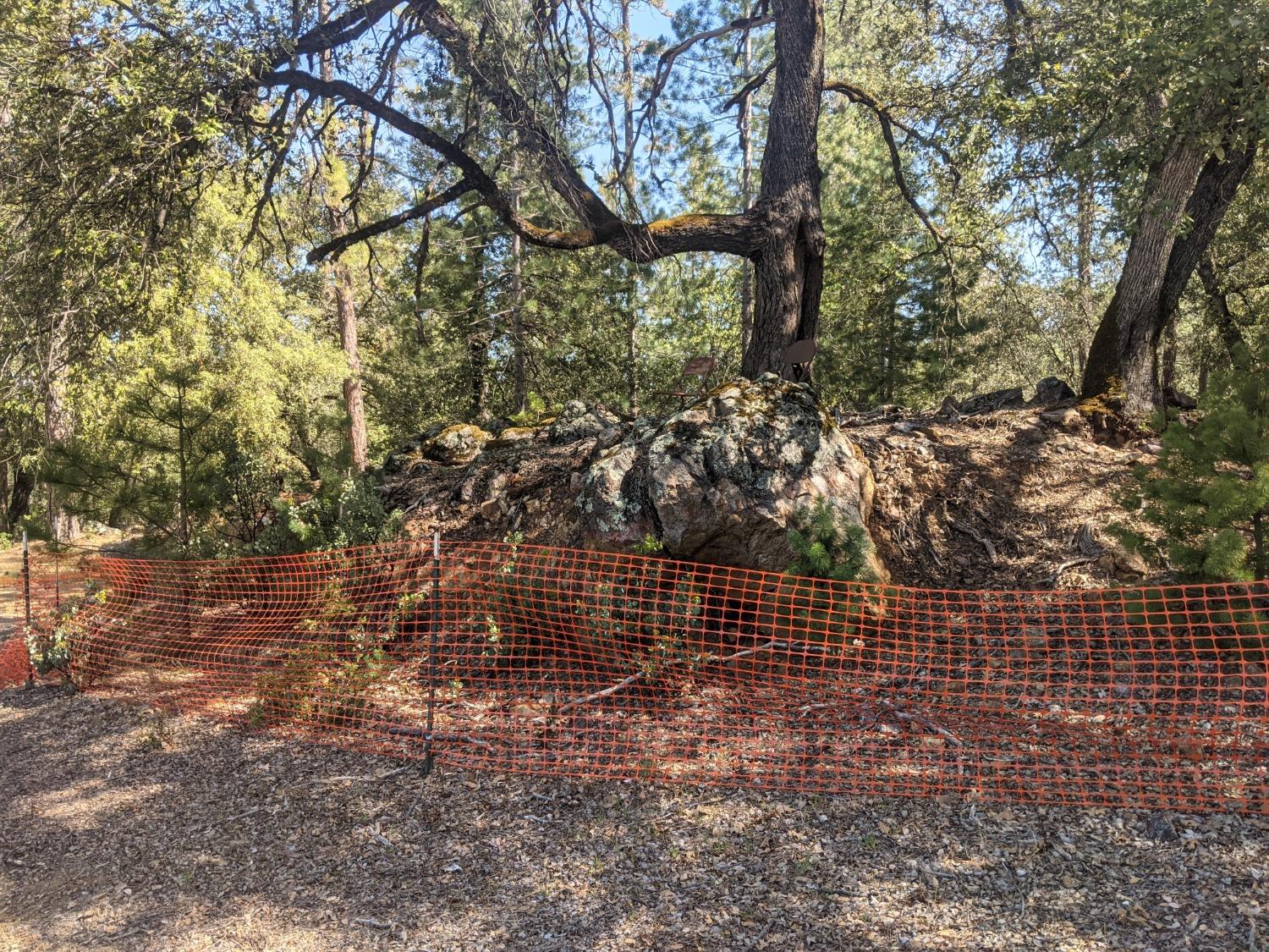 2 Eden Forest Drive Colfax, CA 95713 - Photo 2 of 21