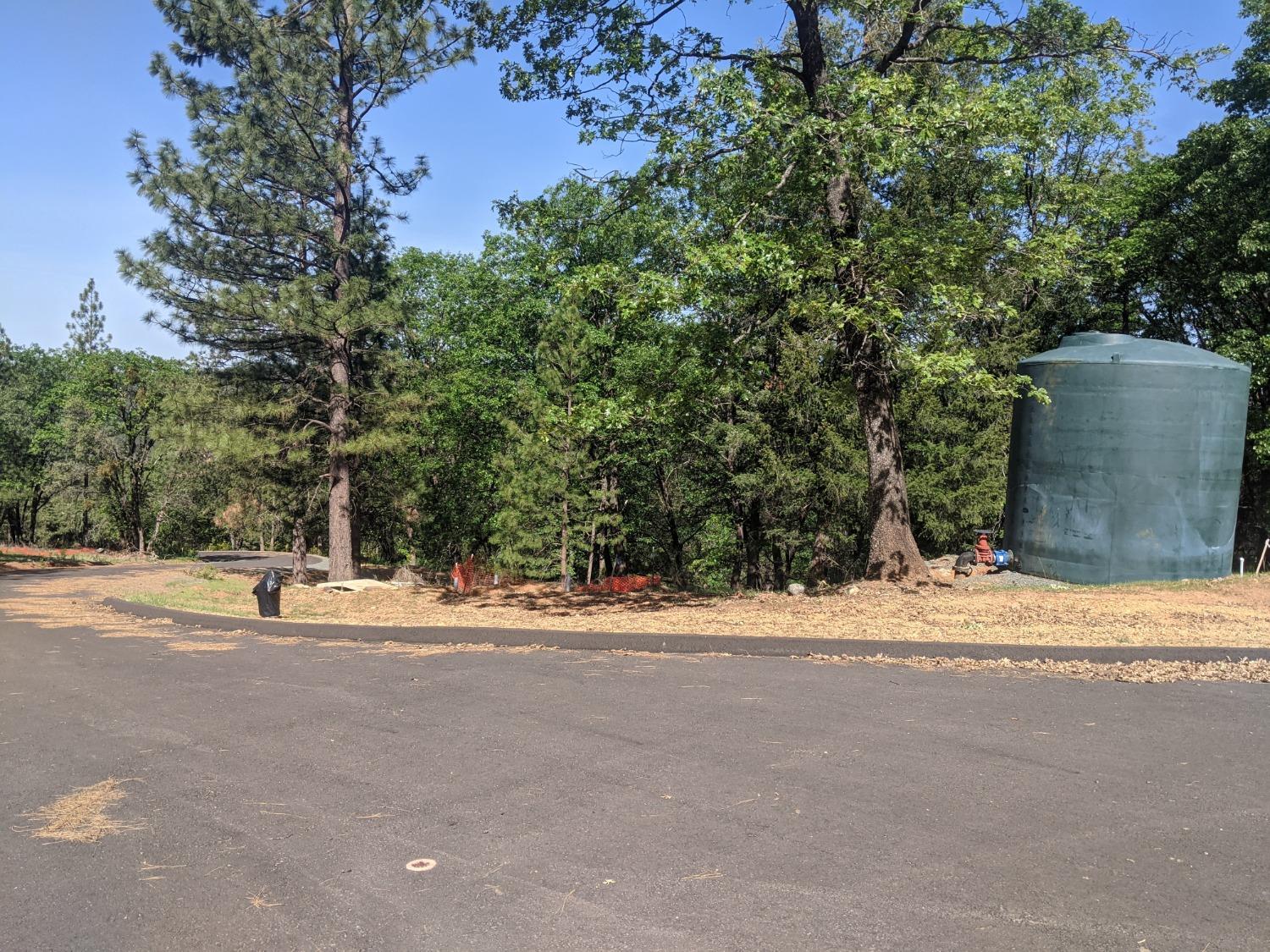 2 Eden Forest Drive Colfax, CA 95713 - Photo 5 of 21