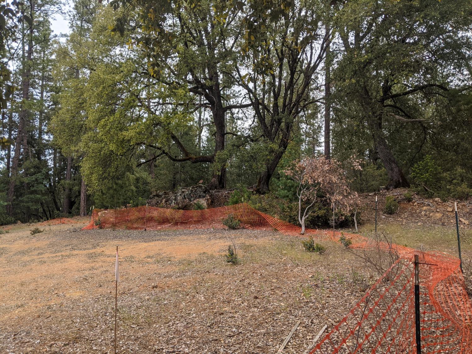 2 Eden Forest Drive Colfax, CA 95713 - Photo 7 of 21