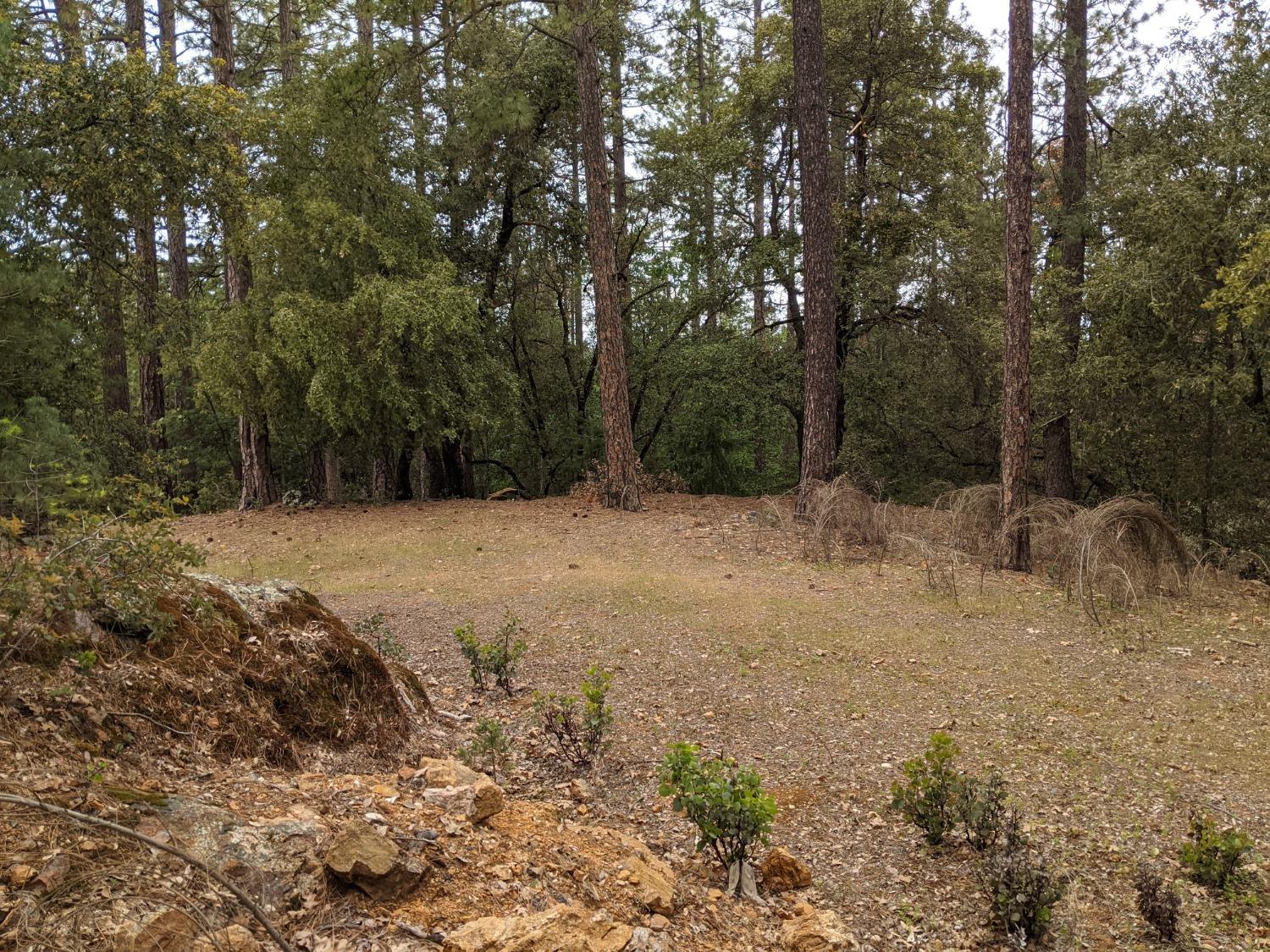 2 Eden Forest Drive Colfax, CA 95713 - Photo 9 of 21