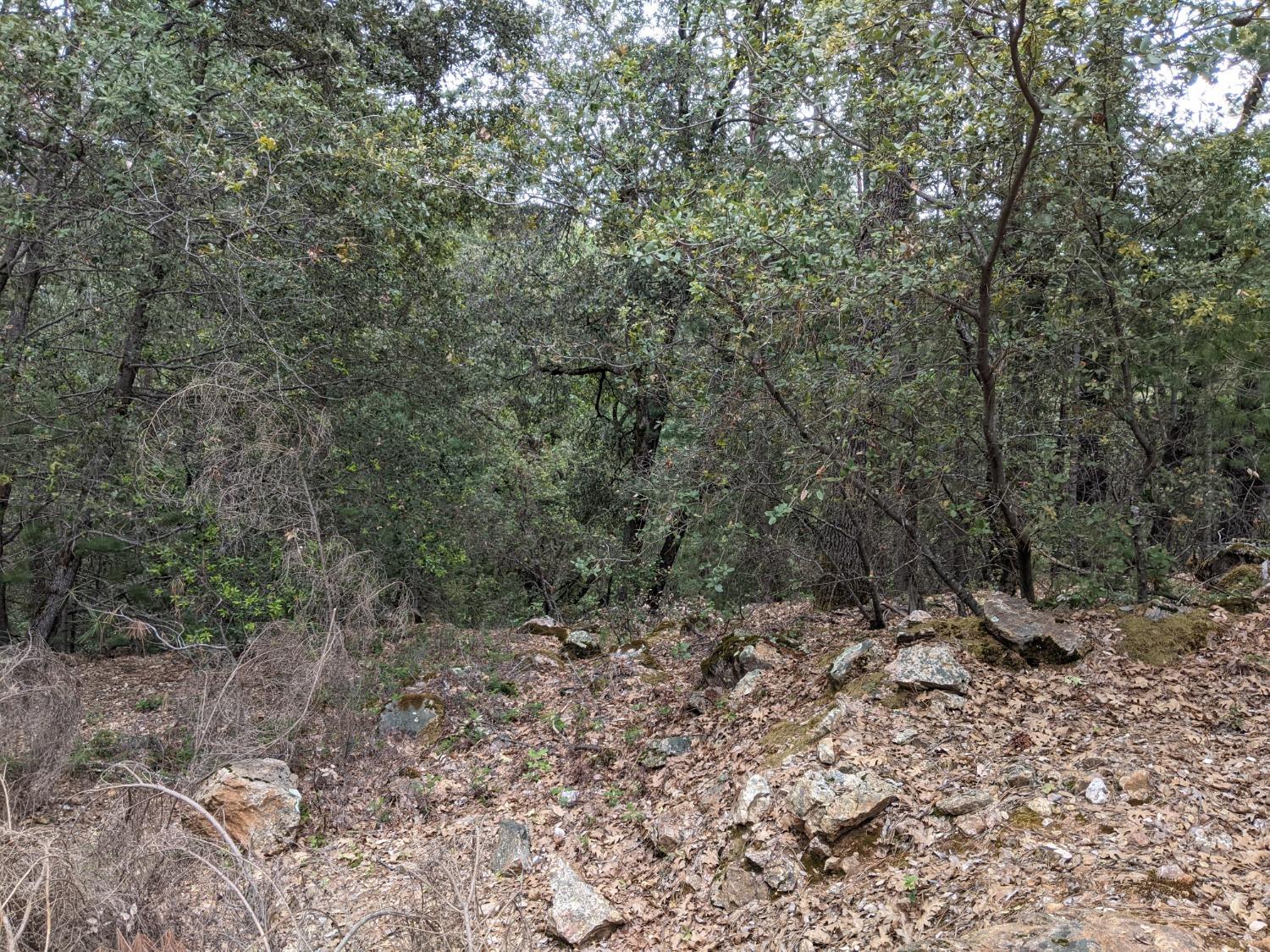 2 Eden Forest Drive Colfax, CA 95713 - Photo 10 of 21