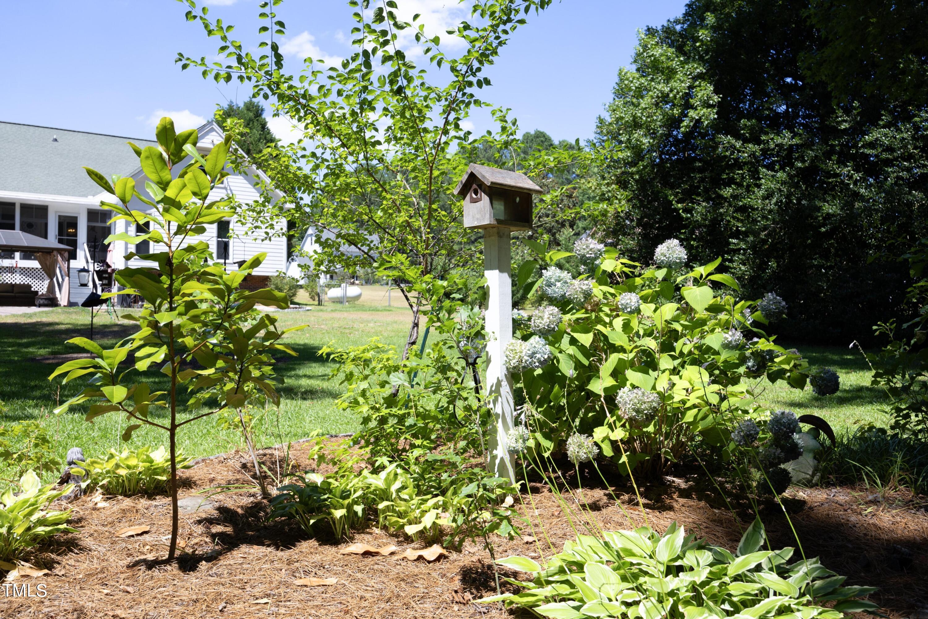 243 Bradley Drive Benson, NC 27504 - Photo 32 of 43 a plant that is in the garden