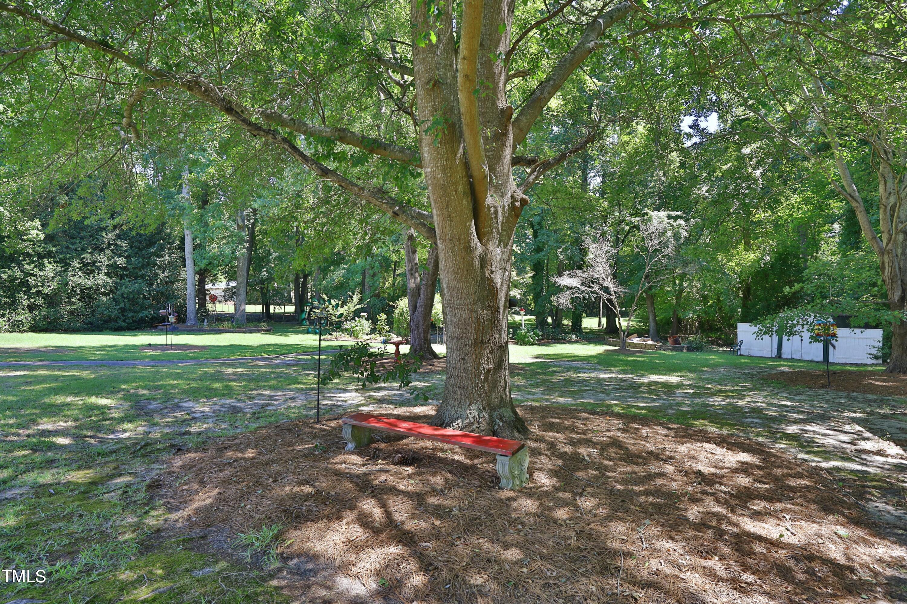 243 Bradley Drive Benson, NC 27504 - Photo 36 of 43 a view of a tree in a park