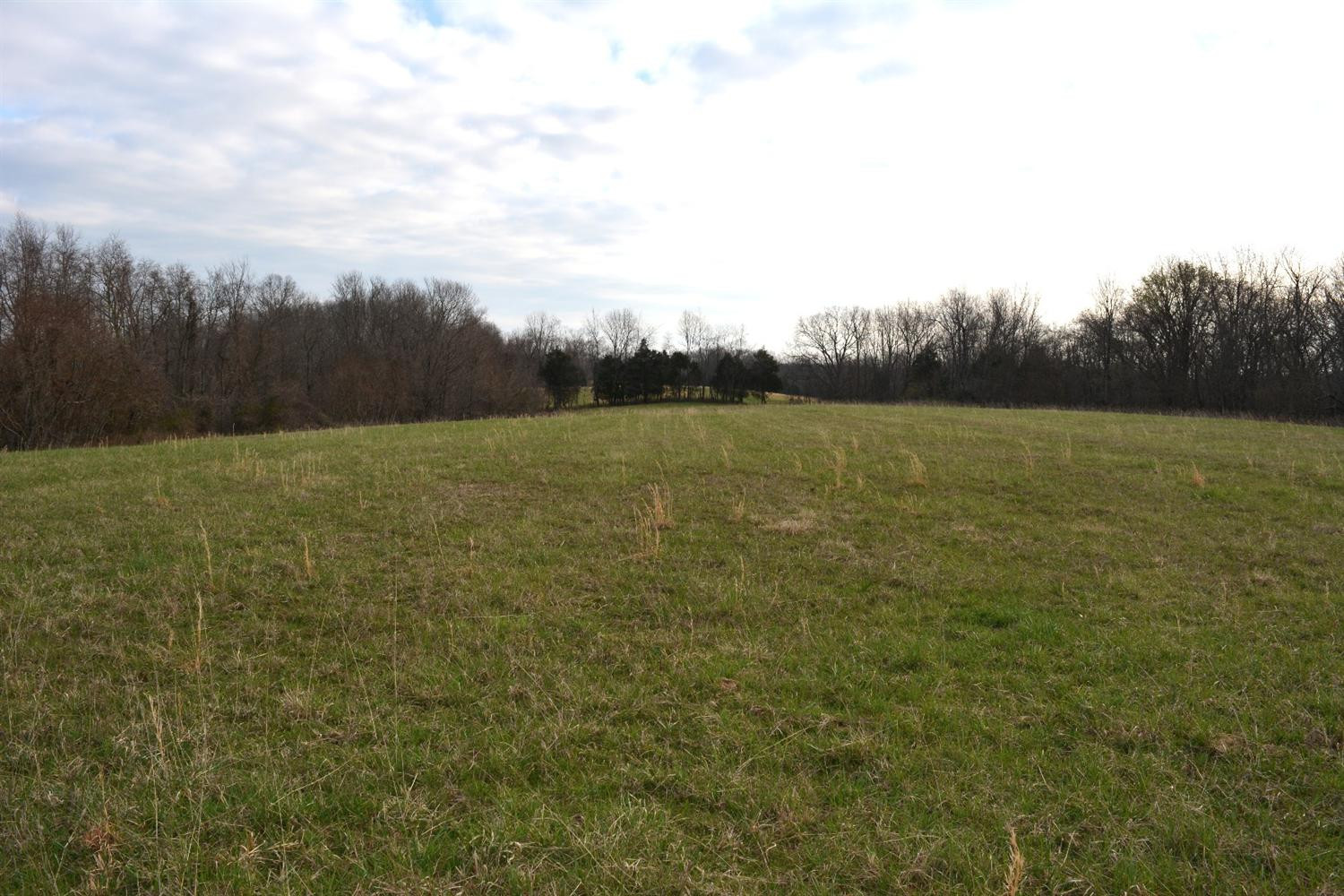 1 Ashes Creek Road Bloomfield, KY 40008 - Photo 4 of 21 Photo 4