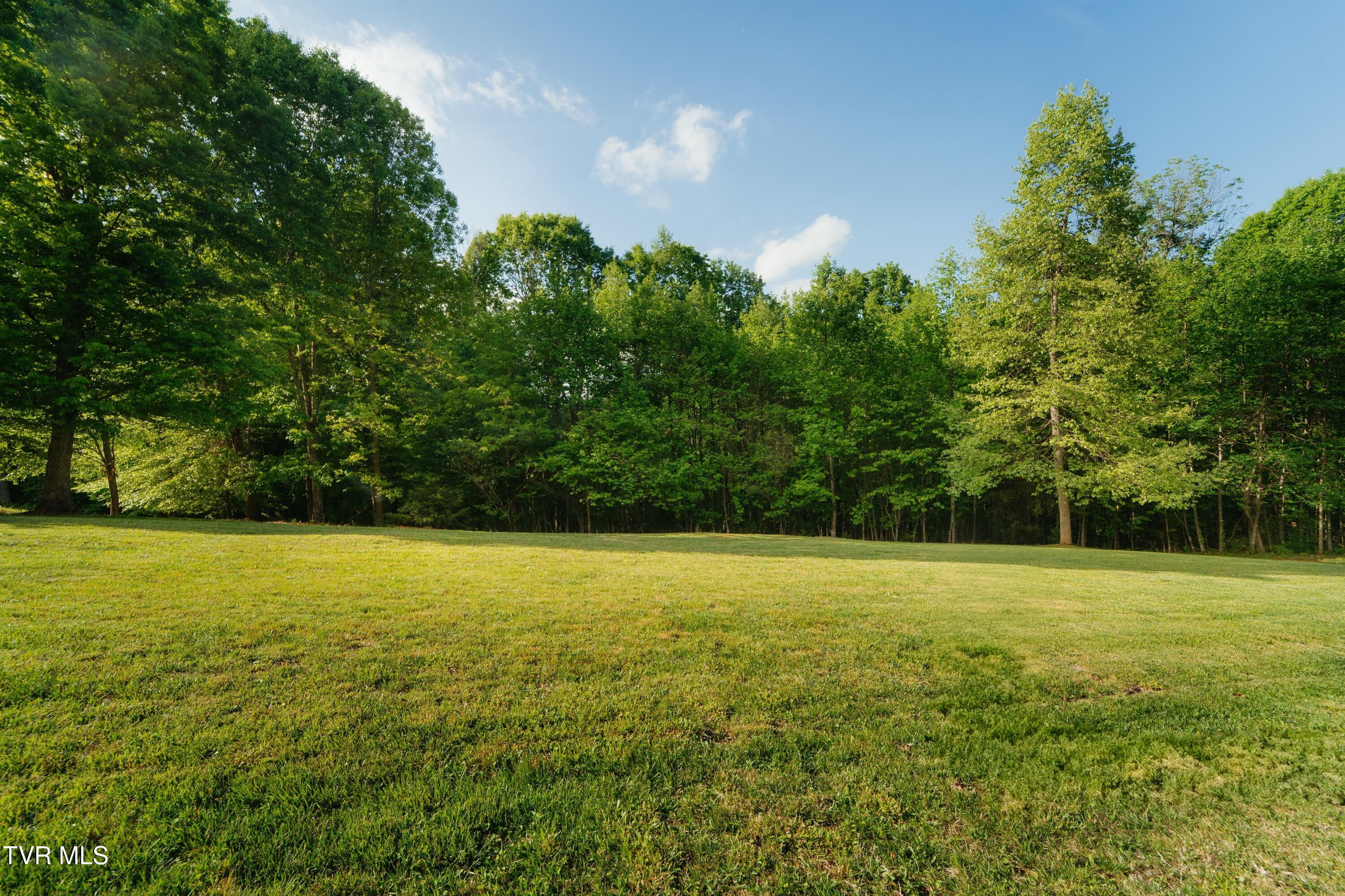 Tbd Allison Timbers Road, Unit 12 Piney Flats, TN 37686 - Photo 1 of 10 147AllisonTimbersRd-09207