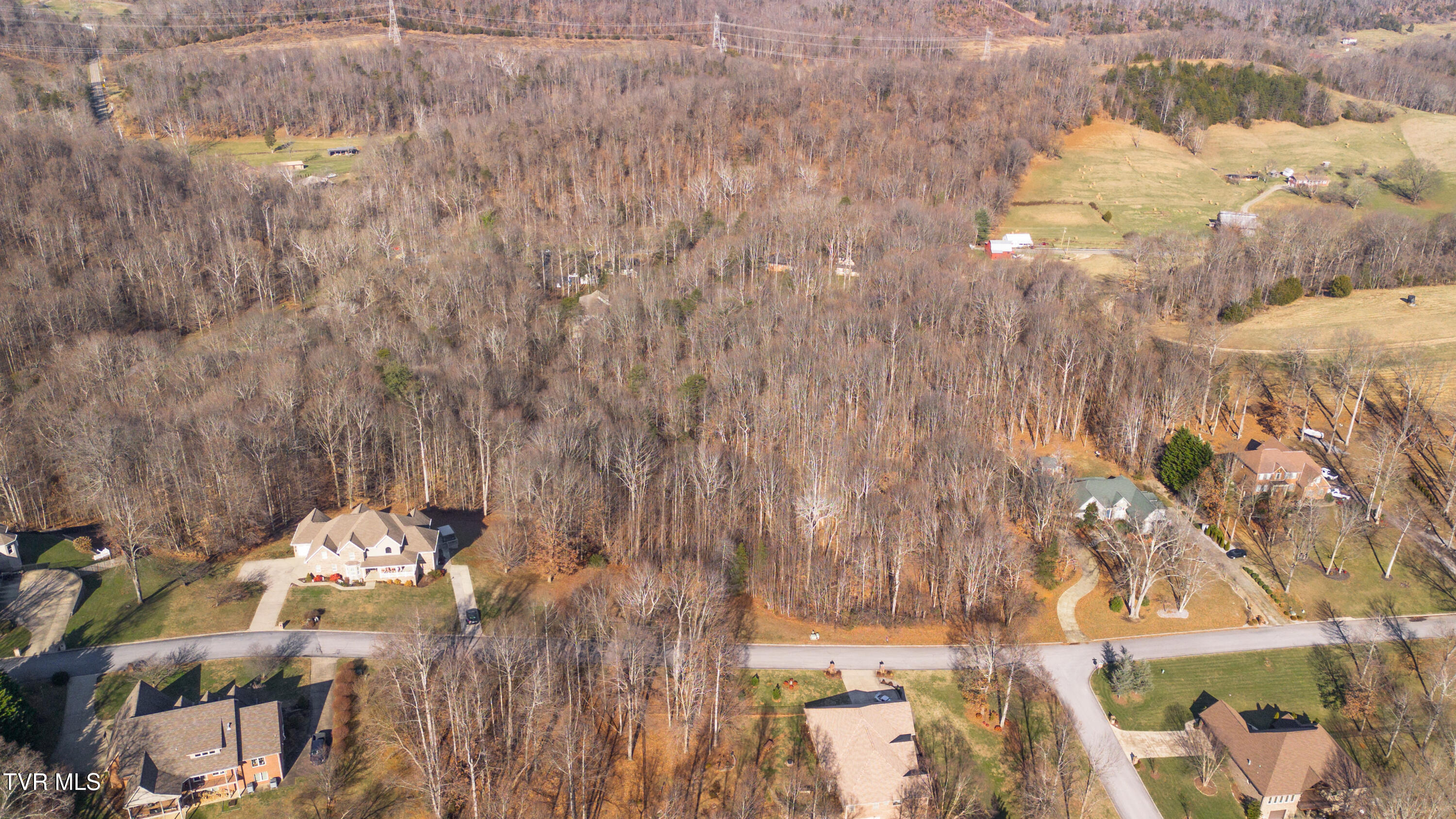 Tbd Allison Timbers Road, Unit 12 Piney Flats, TN 37686 - Photo 11 of 17 DJI_0009