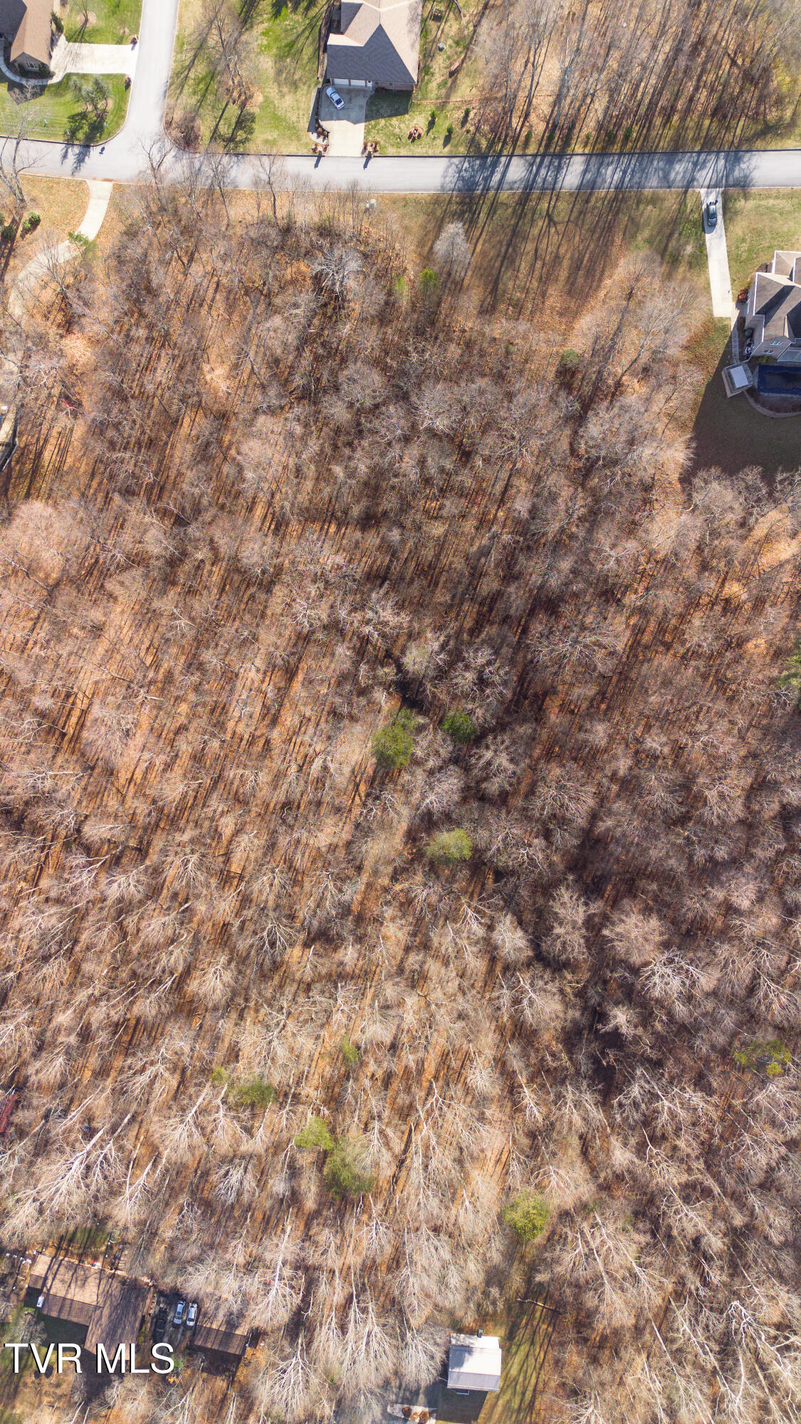 Tbd Allison Timbers Road, Unit 12 Piney Flats, TN 37686 - Photo 16 of 17 DJI_0028