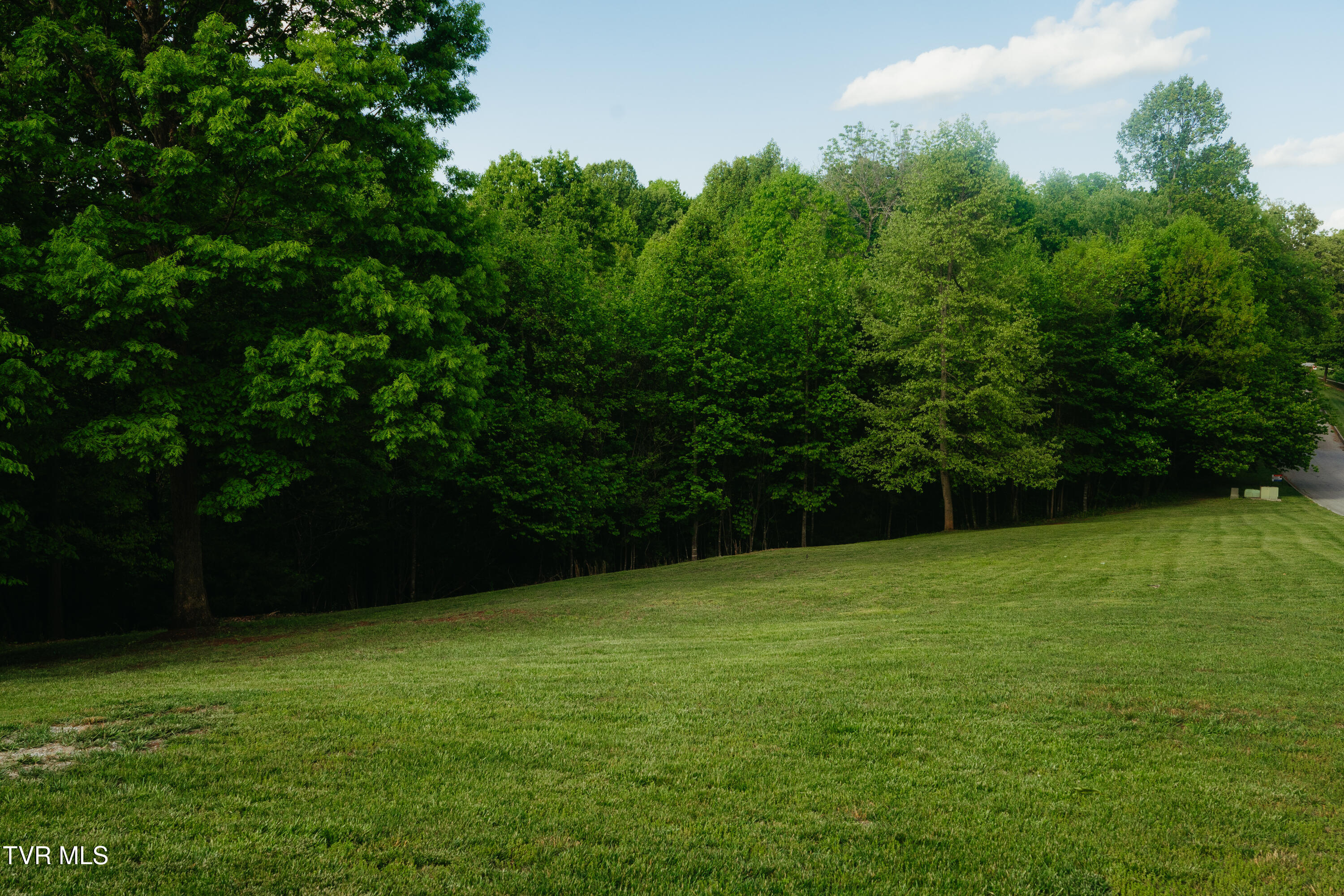 Tbd Allison Timbers Road, Unit 12 Piney Flats, TN 37686 - Photo 2 of 10 147AllisonTimbersRd-09248