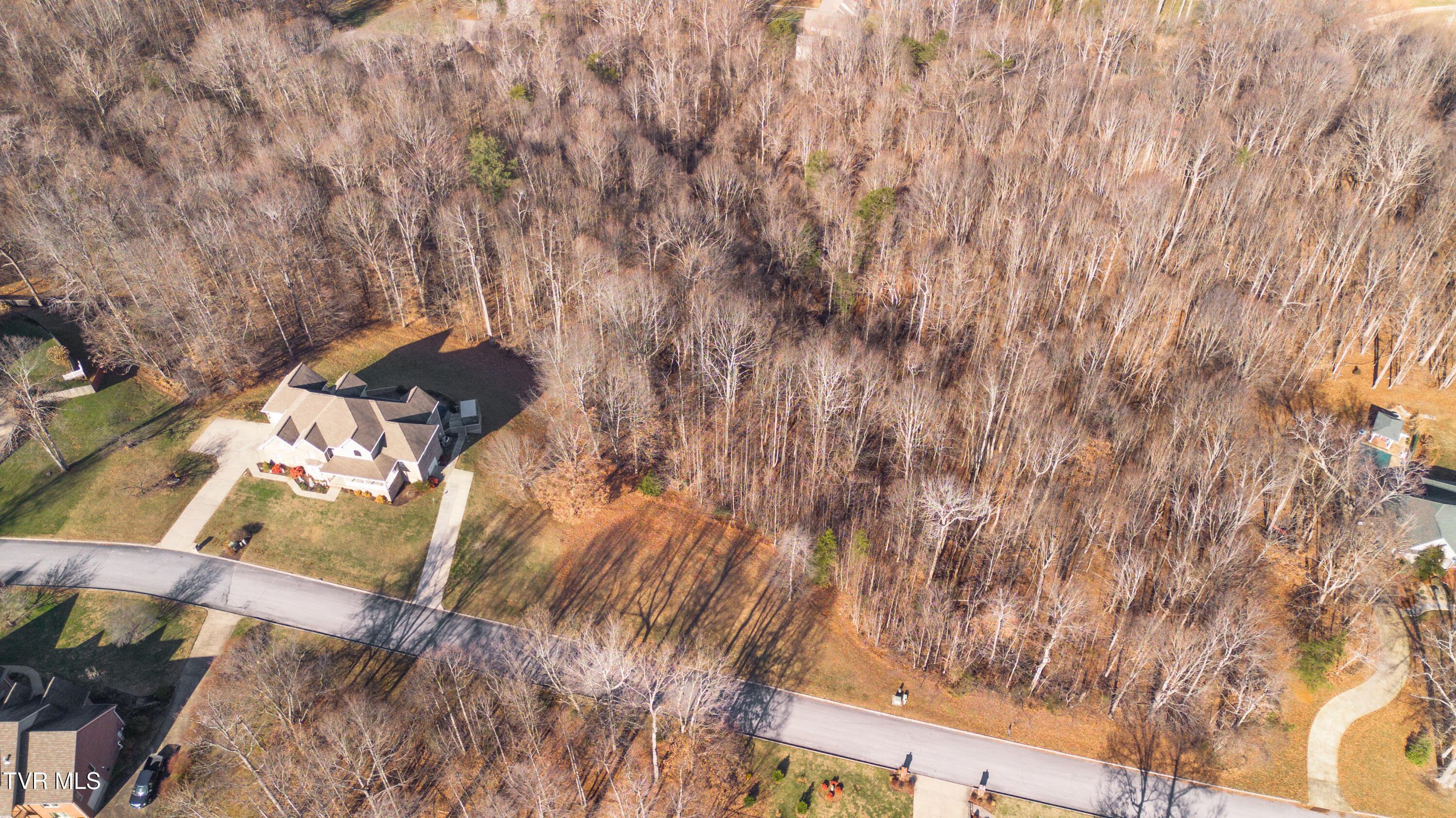 Tbd Allison Timbers Road, Unit 12 Piney Flats, TN 37686 - Photo 6 of 10 DJI_0001