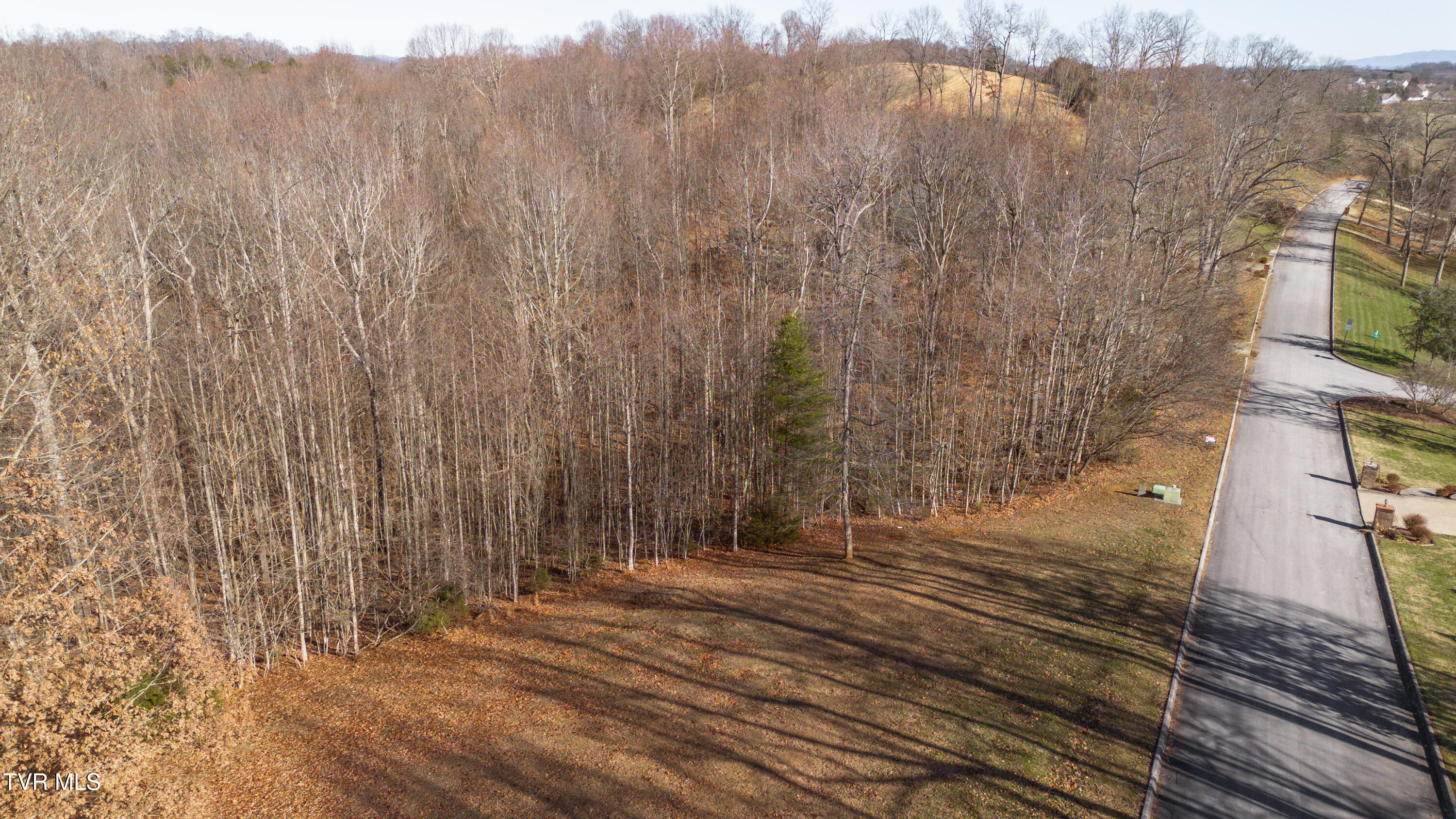 Tbd Allison Timbers Road, Unit 12 Piney Flats, TN 37686 - Photo 6 of 17 DJI_0033
