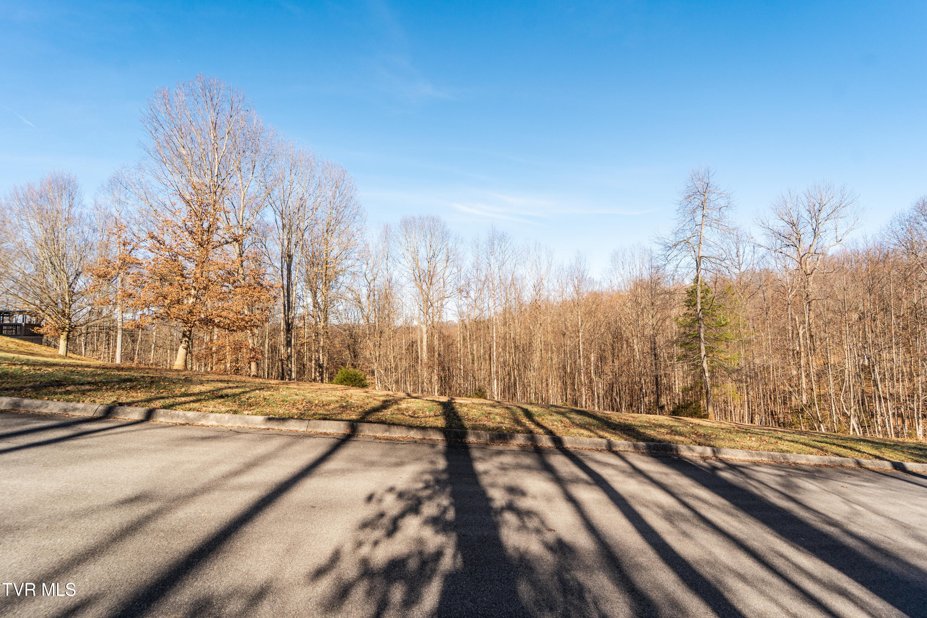 Tbd Allison Timbers Road, Unit 12 Piney Flats, TN 37686 - Photo 7 of 17 DSC09236